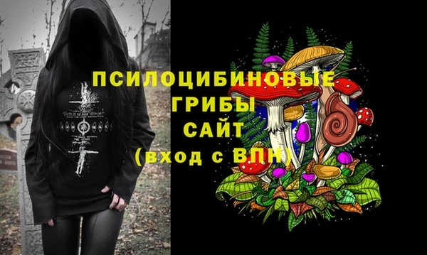 первитин Гусь-Хрустальный