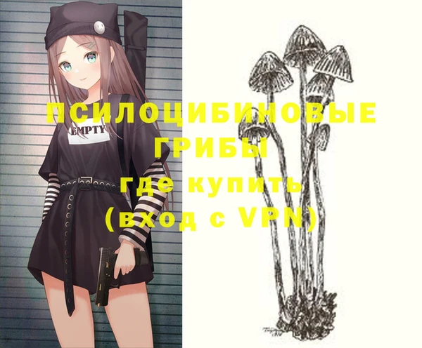 jwh Гусиноозёрск