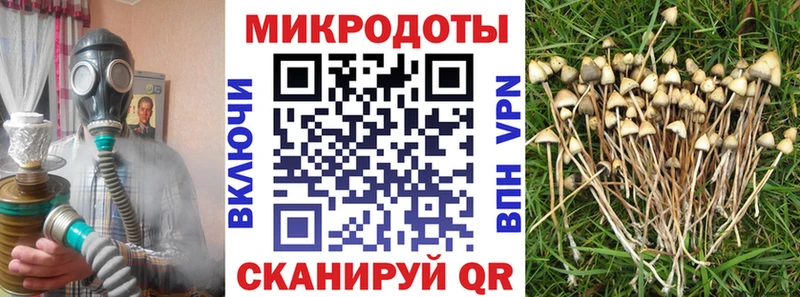 kraken tor  купить   Духовщина  Галлюциногенные грибы Magic Shrooms 